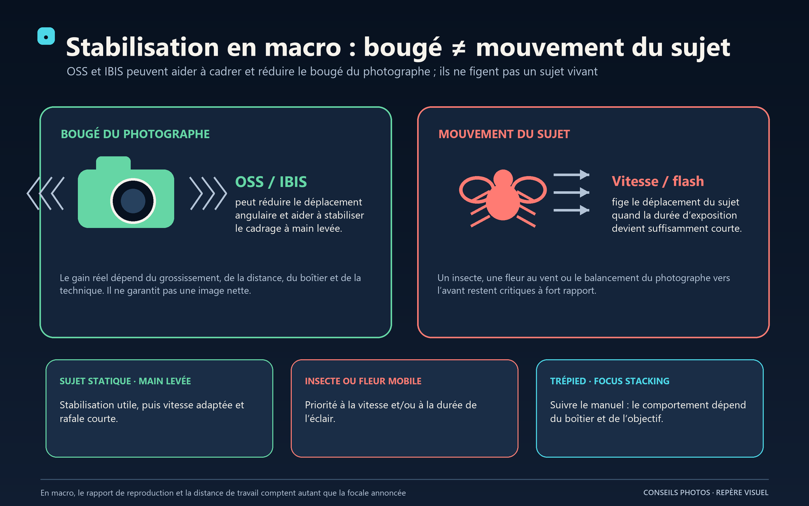 Schéma distinguant le bougé du photographe, que la stabilisation peut réduire, du mouvement du sujet, qui exige vitesse ou flash