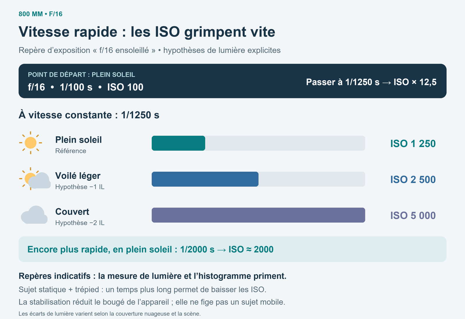 À f/16 et 1/1250 s, trois barres donnent ISO 1250 en plein soleil, 2500 avec une perte hypothétique de 1 IL et 5000 avec une perte de 2 IL ; un repère donne ISO 2000 à 1/2000 s en plein soleil.