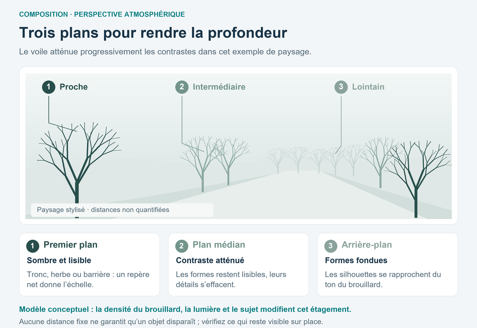 Allée d’arbres stylisée dans le brouillard : premier plan sombre, plan médian moins contrasté et arrière-plan fondu, sans distances fixes.