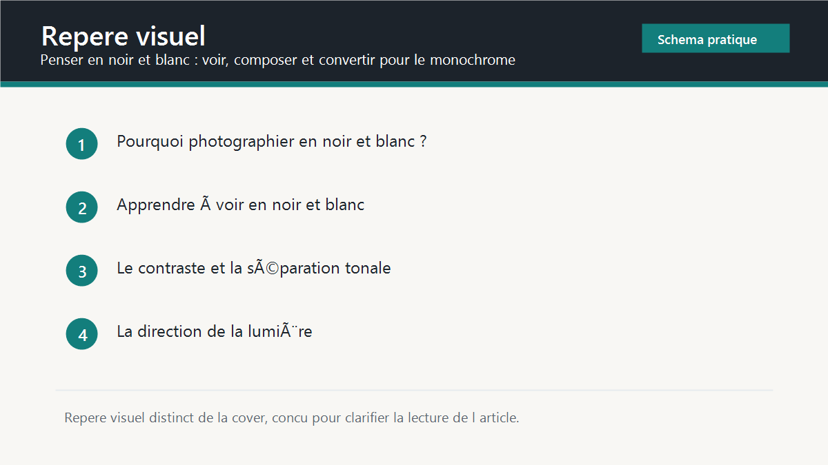 Repere visuel synthetique pour Penser en noir et blanc : voir, composer et convertir pour le monochrome