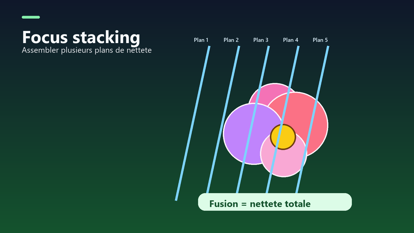 Illustration de focus stacking avec plusieurs plans de nettete fusionnes